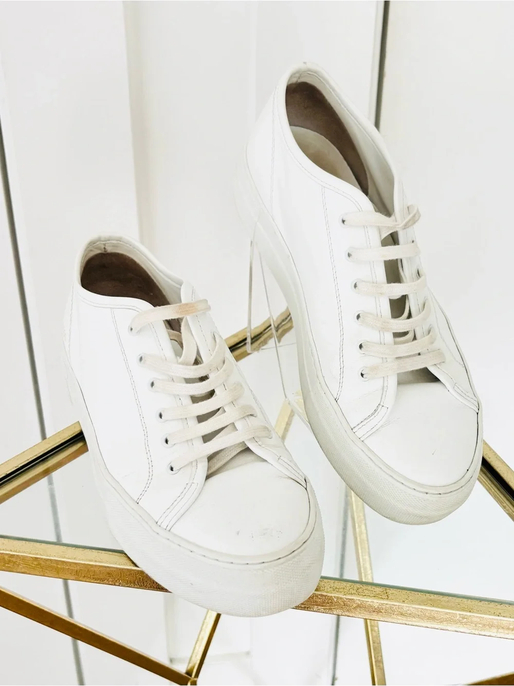 Common Projects pet free